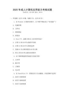 2025年成人計算機應用能力考核試題