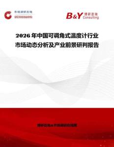 2026年中國可調角式溫度計行業市場動態分析及產業前景研判報告