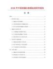 2026年中國測漏儀數(shù)據(jù)監(jiān)測研究報(bào)告