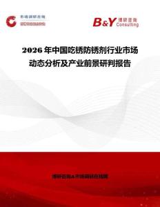 2026年中國吃銹防銹劑行業(yè)市場動態(tài)分析及產(chǎn)業(yè)前景研判報告