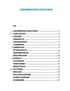 白酒非遺釀造技藝保護(hù)與商業(yè)化開發(fā)報告