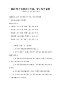 2025年注冊會計師考試：審計實務試題