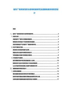 城市廣場(chǎng)突發(fā)性積水疏導(dǎo)機(jī)制研究及道路地面系統(tǒng)防澇設(shè)計(jì)