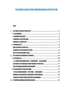 电子商务行业用户体验与盈利模式规划分析研究方案