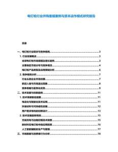 電釘槍行業并購重組案例與資本運作模式研究報告