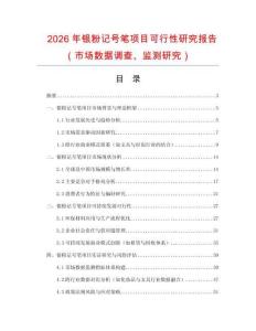 2026年銀粉記號筆項(xiàng)目可行性研究報告（市場數(shù)據(jù)調(diào)查、監(jiān)測研究）