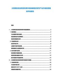 大同煤炭清潔高效利用市場發展現狀研究產業升級投資規劃評估報告