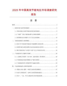 2025年中國高效節能電灶市場調查研究報告