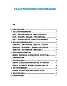 白酒企業(yè)跨界聯(lián)名營銷案例研究與品牌年輕化路徑報(bào)告