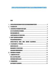 皮革業(yè)風(fēng)險(xiǎn)投資發(fā)展研究現(xiàn)狀及投資融資策略研究報(bào)告