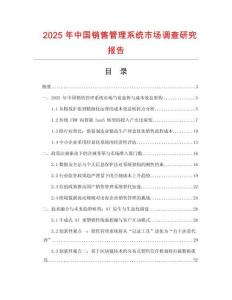 2025年中國銷售管理系統(tǒng)市場調(diào)查研究報告