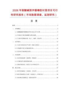 2026年耐酸堿攪拌器橡膠襯里項目可行性研究報告（市場數據調查、監測研究）