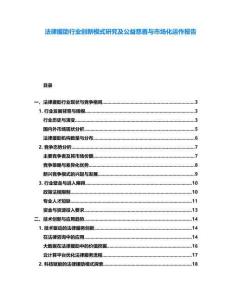 法律援助行業(yè)創(chuàng)新模式研究及公益慈善與市場化運作報告