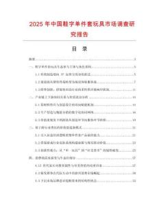 2025年中国鞋字单件套玩具市场调查研究报告