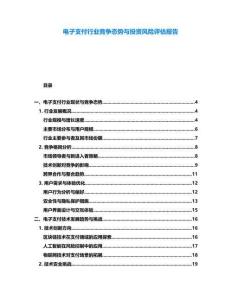 電子支付行業競爭態勢與投資風險評估報告