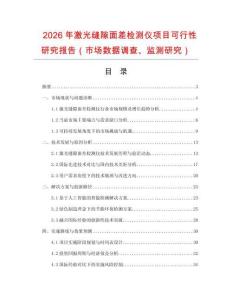 2026年激光缝隙面差检测仪项目可行性研究报告（市场数据调查、监测研究）
