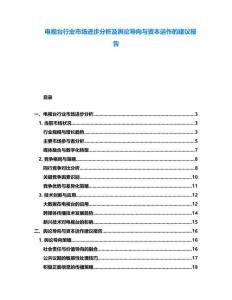 電視臺行業市場進步分析及輿論導向與資本運作的建議報告