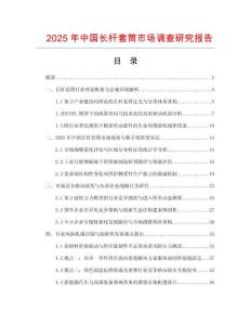 2025年中國長桿套筒市場調(diào)查研究報告