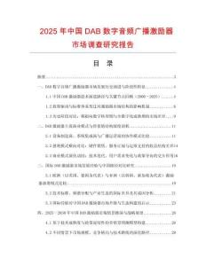 2025年中國DAB數(shù)字音頻廣播激勵(lì)器市場調(diào)查研究報(bào)告