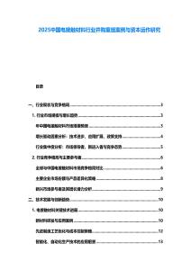 2025中國電接觸材料行業并購重組案例與資本運作研究