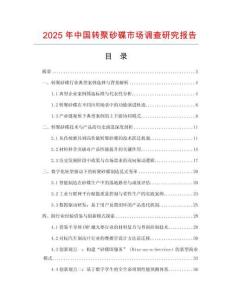 2025年中國轉聚砂碟市場調查研究報告