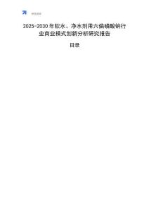 2025-2030年軟水、凈水劑用六偏磷酸鈉行業(yè)商業(yè)模式創(chuàng)新分析研究報告