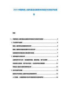 2025中國殘疾人福利基金會服務體系建設與效能評估報告