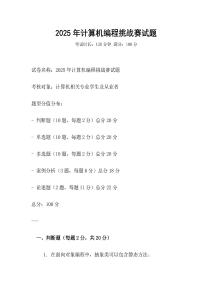 2025年計算機編程挑戰賽試題