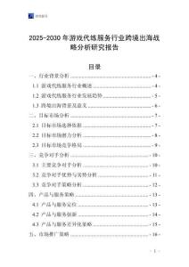 2025-2030年游戲代練服務行業(yè)跨境出海戰(zhàn)略分析研究報告