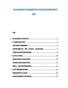 动力电池回收行业发展趋势分析与未来投资战略咨询研究报告