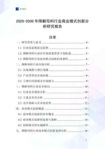 2025-2030年降解母料行業(yè)商業(yè)模式創(chuàng)新分析研究報告