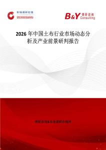 2026年中國土布行業市場動態分析及產業前景研判報告