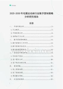 2025-2030年毛圈運動襪行業數字營銷策略分析研究報告