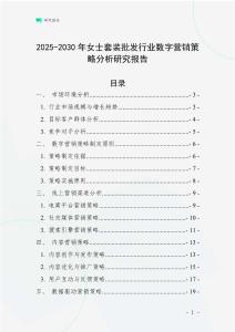 2025-2030年女士套裝批發(fā)行業(yè)數(shù)字營銷策略分析研究報告