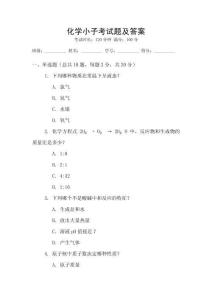 化学小子考试题及答案