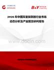 2026年中國(guó)雙鑒探測(cè)器行業(yè)市場(chǎng)動(dòng)態(tài)分析及產(chǎn)業(yè)前景研判報(bào)告