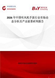 2026年中國吹風機手扳行業市場動態分析及產業前景研判報告