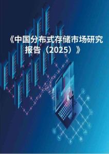 分布式存儲(chǔ)市場(chǎng)研究報(bào)告（2025）-
