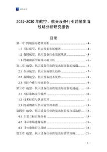2025-2030年航空、航天設備行業跨境出海戰略分析研究報告