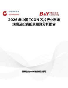 2026年中國TCON芯片行業市場規模及投資前景預測分析報告