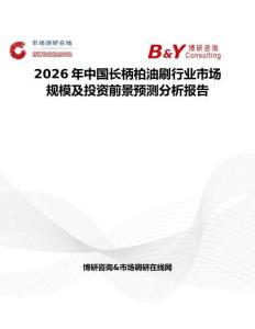 2026年中國(guó)長(zhǎng)柄柏油刷行業(yè)市場(chǎng)規(guī)模及投資前景預(yù)測(cè)分析報(bào)告