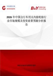 2026年中國自行車用無內胎輪胎行業(yè)市場規(guī)模及投資前景預測分析報告