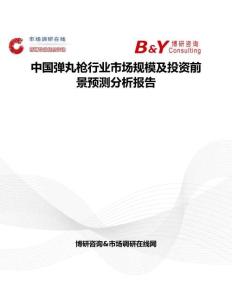 中國彈丸槍行業市場規模及投資前景預測分析報告