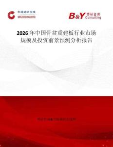 2026年中國骨盆重建板行業市場規模及投資前景預測分析報告