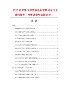 2026及未來(lái)5年紫銅電極管項(xiàng)目可行性研究報(bào)告（市場(chǎng)調(diào)查與數(shù)據(jù)分析）