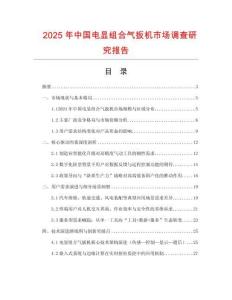 2025年中國(guó)電顯組合氣扳機(jī)市場(chǎng)調(diào)查研究報(bào)告