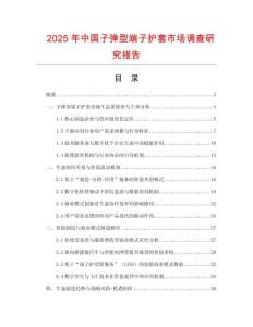 2025年中国子弹型端子护套市场调查研究报告