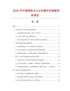 2025年中國提前點火正時器市場調查研究報告