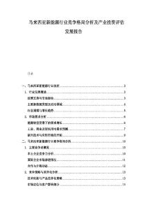 馬來西亞新能源行業競爭格局分析及產業投資評估發展報告