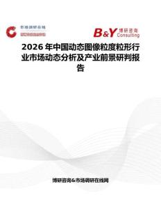 2026年中國動態圖像粒度粒形行業市場動態分析及產業前景研判報告